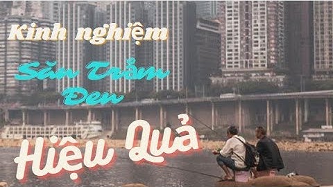 Kinh Nghiệm Câu Cá Trắm Đen Tự Nhiên Và Dịch Vụ l Câu Cá TV