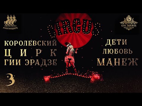 Ведущие артисты циркового шоу «Бурлеск»: «Цирк — это образ жизни»/ Жизнь на манеже и история номеров