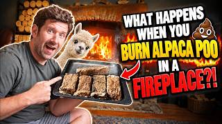 I Tried Burning Alpaca POO in My Fireplace… Here’s What Happened!