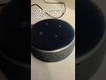 Alexa gave her answer🏏#subscribe #cricket  #alexa #amazonalexa  #voiceassistants ✅