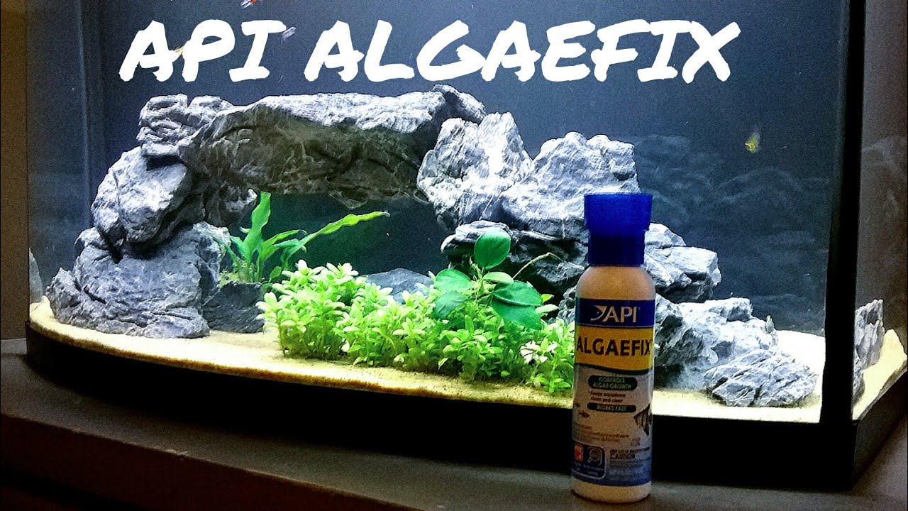algaefix marine