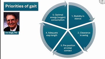 Overview of a gait analysis report