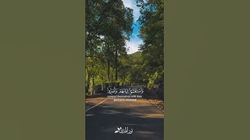 « قال ربي إني دعوت قومي ليلاً ونهارا » سورة نوح || تلاوة خاشعة 🎧 ♥ ||  ماهر المعيقلي ||