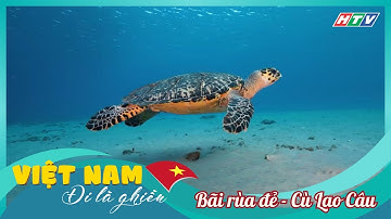 Việt Nam - Đi Là Ghiền 4 | Tập 12 | Khám phá bãi rùa đẻ Cù Lao Câu