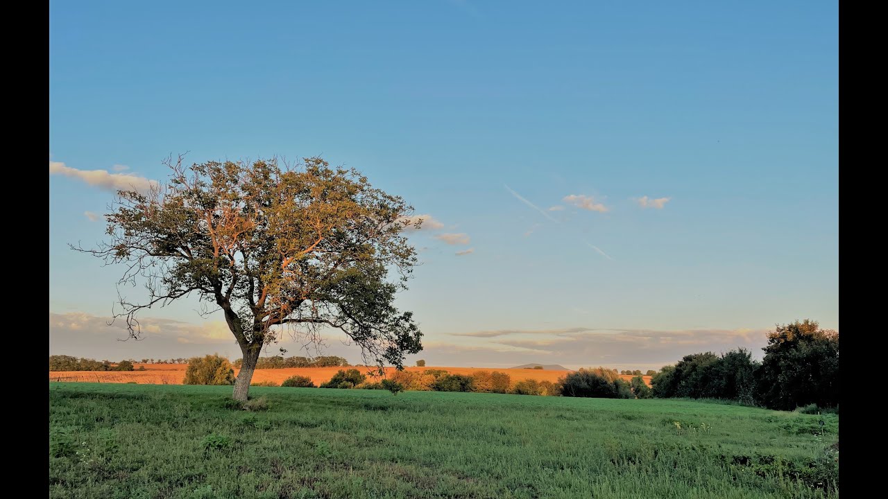 SLOVANSKÝ DVOR SLAVICA