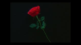HVZEM - KAMASHY ( MUSIC)