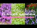 GARDEN DESIGN WITH GROUNDCOVER FLOWERS IDEAS | 10 AMAZING GROUNDCOVER FLOWERS THAT BLOSSOM FOREVER!