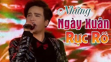 Những Ngày Xuân Rực Rỡ - Rio Đinh Phạm | Nhạc Tết Sôi Động Mới Nhất 2019 MV HD