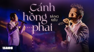 Cánh Hồng Phai - @bangkieuofficial237 live at #inthemoonlight