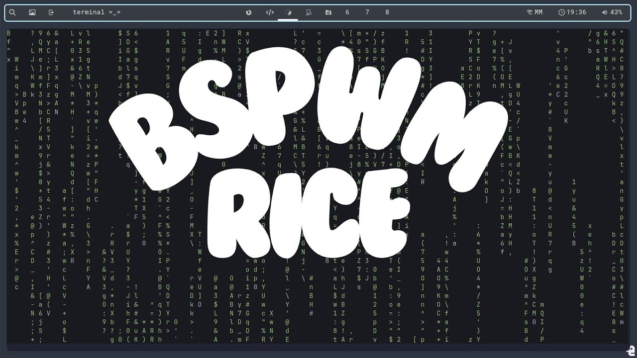 My BSPWM Rice Showcase - YouTube