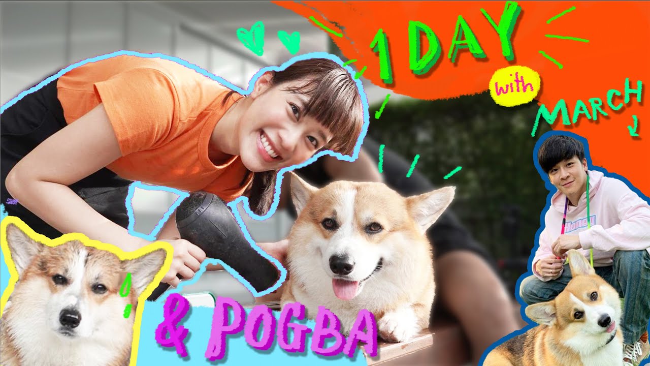 ก่อนหมาตัวจริงจะมา ขอลองเลี้ยงพ็อคบา 1 วัน! Meenakom x Kemisara | Kemisara Paladesh