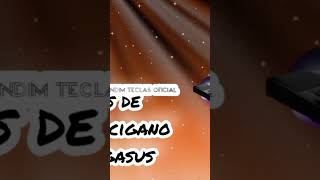 vídeo com ritmo Yamaha no vídeo relacionado #pegasus
