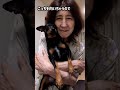 殴られました#ミニピン #犬のいる生活 #ミニチュアピンシャー