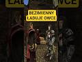 Co się stanie jeśli miejska owce znikną - Gothic 2