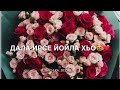 Дала декъал йойла ХЬО❤️