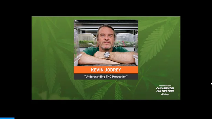 Kevin Jodrey: understanding THC production