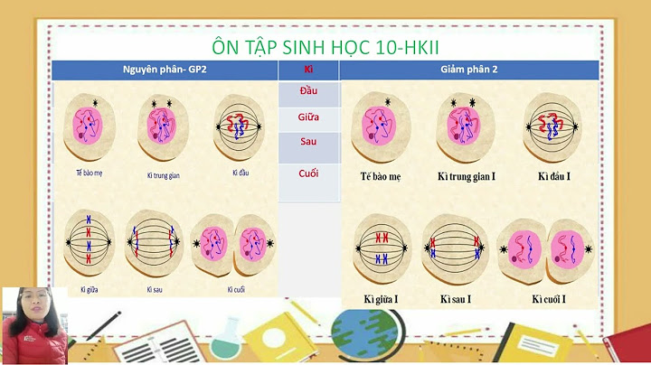 Đề kiểm tra 1 tiết sinh học 10 trắc nghiệm