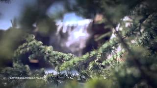 Caviness Landscape Design - Oklahoma Pool/Landscape Design and Build Firm