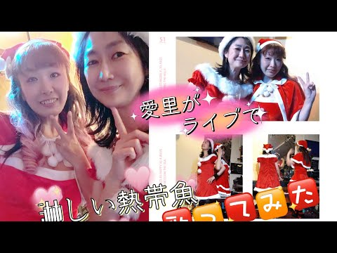 愛里がライブで「淋しい熱帯魚」を歌ってみた(2022.12.3河合まりこ誕生祭にて)