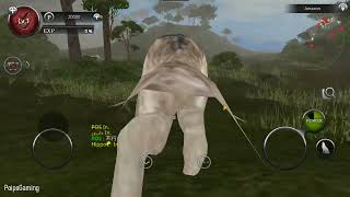 Playing Wild Animal Online WAO screenshot 2