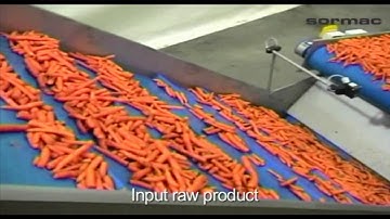 Carrot cutting and grading line - Sormac