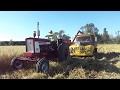 504 Farmall and IH 80 Combine in Oats