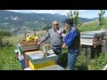 Valle di Non, la riscoperta dell'orticoltura alpina: Luciano Covi