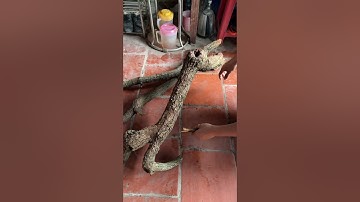 Tranh gỗ điêu khắc thủ công, tranh gỗ Bùi Gia đục tay cao cấp: Thỉnh gỗ Dã Hương nghìn năm tuổi