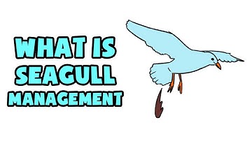 What is Seagull Management | Explained in 2 min