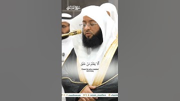وأسروا قولكم أو اجهروا به_سورة الملك_تلاوة مرئية من صلاة الفجر 24 ربيع الآخر 1446هـ_الشيخ بدر التركي