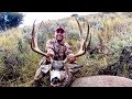 BUCK OF A LIFETIME!!! - 195" Muley - Limitless 51