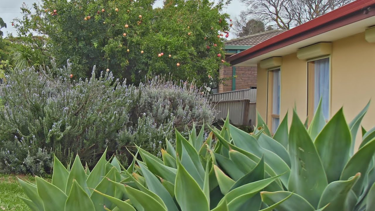 House For Sale - 26 Village Road, Hackham West (South Australia) with Scott McPharlin