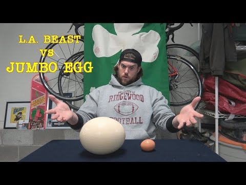 L.A. BEAST vs GIGANTIC Hard Boiled Egg