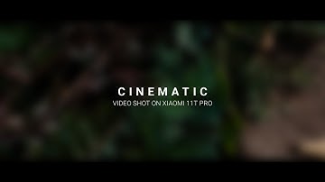 Cinematic Video Shot on Xiaomi 11t pro || Xiaomi 11 T pro cinematic Video