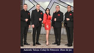 Autentic Tulcea -Colaj De Petrecere -Hore de joc -2025 Live (Live)