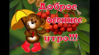 Видео с осенним Добрым утром! Чудесного дня и прекрасного настроения!