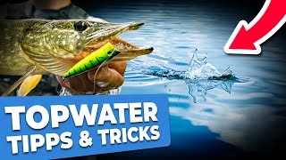 TOPWATER Tipps & Tricks für OBERFLÄCHENKÖDER