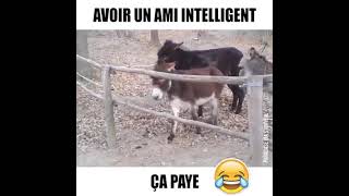 VID 20200429 WA0003