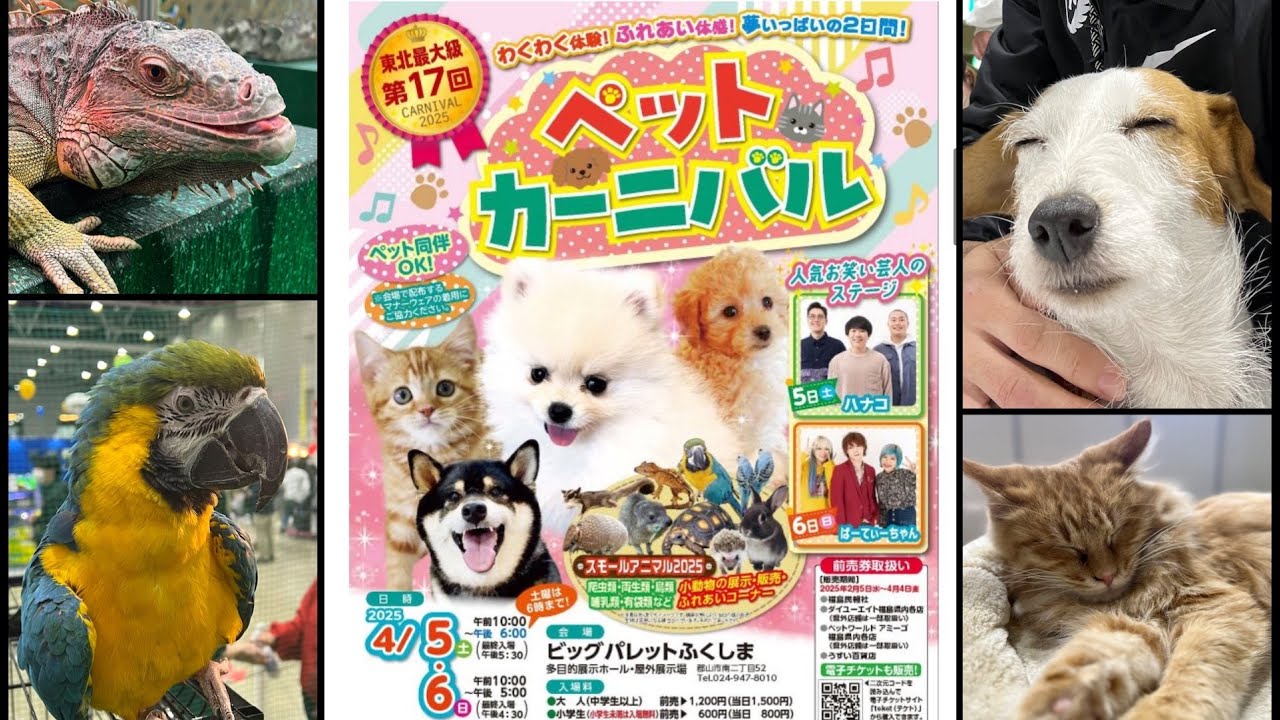 [行って帰る君]　ペットドア　新年キャンペーン中 2025 Pet Carnival] I went to an event where I could see, touch