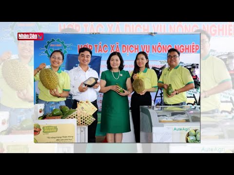 Video Phát huy vai trò của nữ doanh nhân - youtube