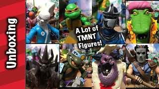 New TMNT LootCrate and a lot of Figures to Review