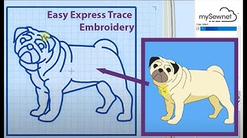 How to Create an Express Trace - a mySewnet Tutorial