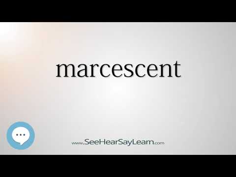Vídeo: Como usar marcescent em uma frase?