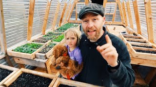 Grow Your Own Groceries In 60 Days