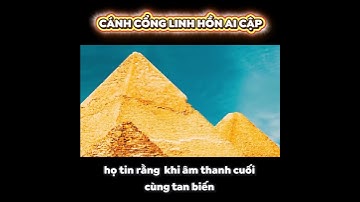 Lời Nguyền Pharaoh - Những Hiện Tượng Bí Ẩn #shorts #kimtuthap #bianquanhta #khampha #bian #kienthuc