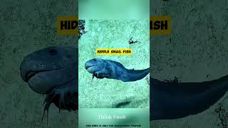 Truck Cant Crush This Fish