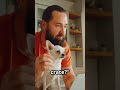 Understand Your Pet's Strange Behavior #petinsights #dogtraining