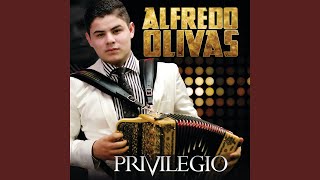 Video thumbnail of "Alfredo Olivas - El Malo De Culiacán"