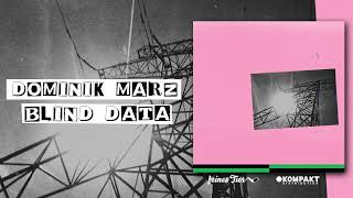 Dominik Marz - Blind Data [Feines Tier]