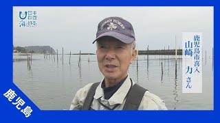 2017年 #33 鹿児島・喜入の青のり | 海と日本PROJECT in 鹿児島